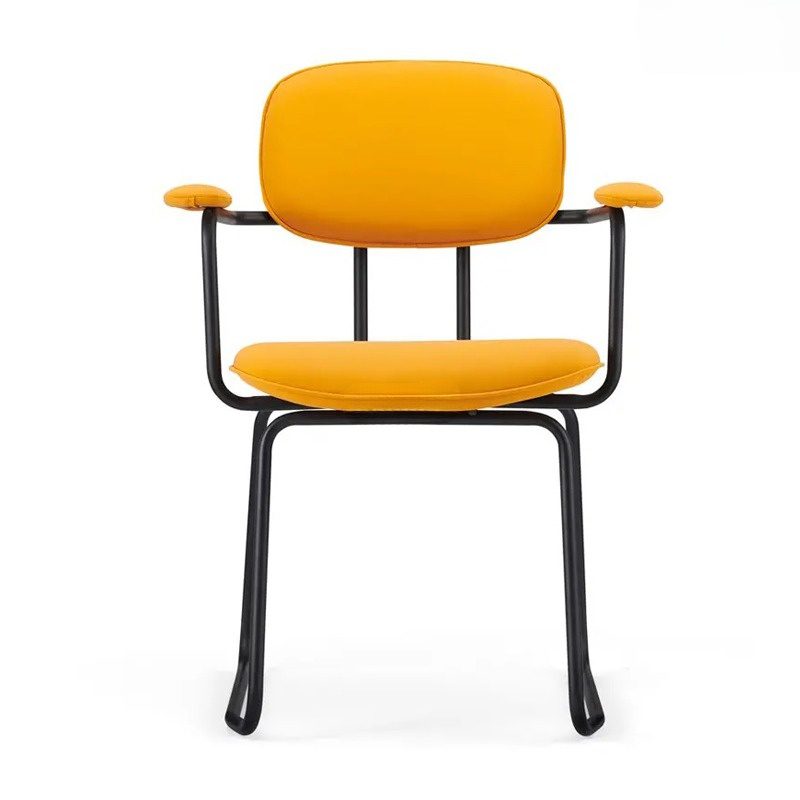 Ghế Lounge da hiện đại ANETO WF30710