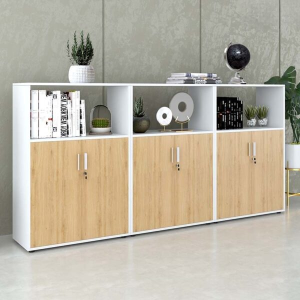 Tủ tài liệu văn phòng đa năng Nội thất Sài Gòn TW32795