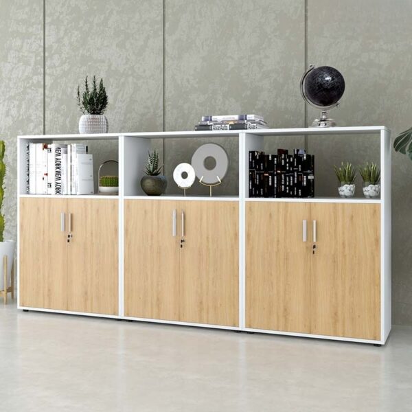 Tủ tài liệu văn phòng đa năng Nội thất Sài Gòn TW32795