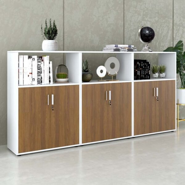 Tủ tài liệu văn phòng đa năng Nội thất Sài Gòn TW32795