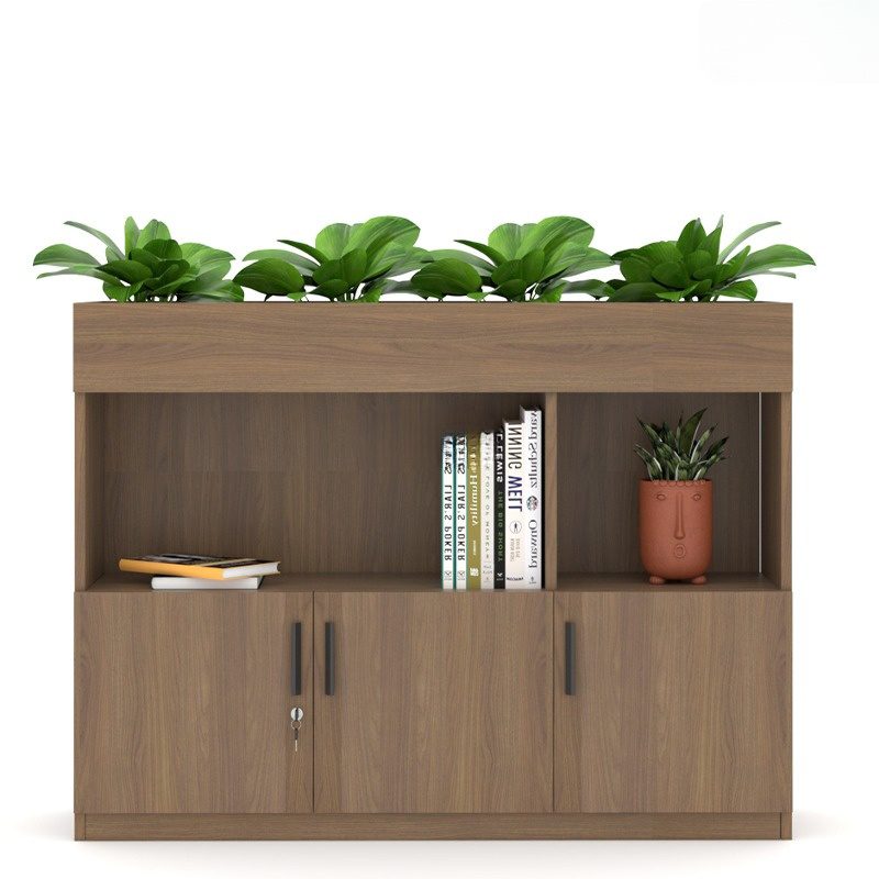 Tủ lưu trữ giám đốc nhập khẩu Cabi C-24 (DD33061)