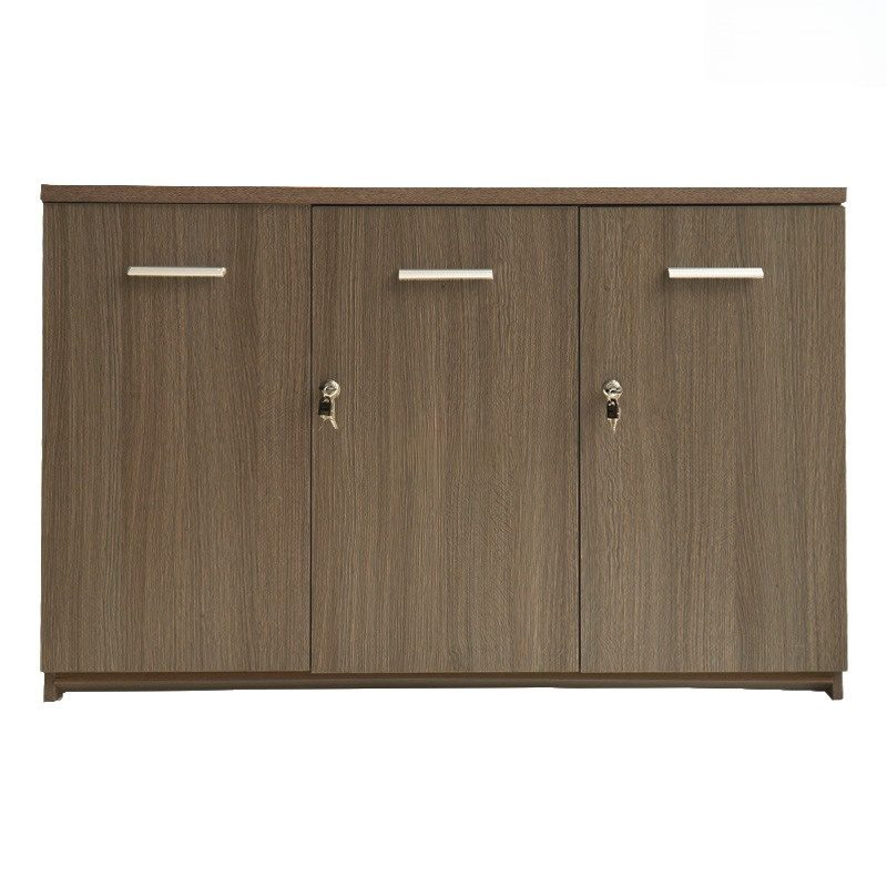 Tủ tài liệu Veneer sang trọng LV S630-22 - DD33091