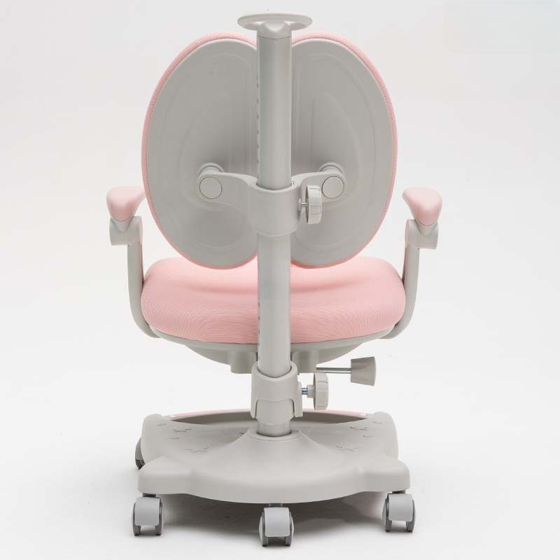 Ghế Chống Gù Cao Cấp EC36348