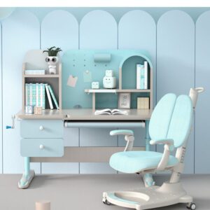 Ghế Chống Gù Cao Cấp EC36348