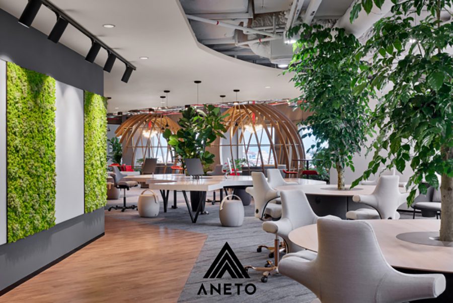 Thiết kế văn phòng bất động sản uy tín chất lượng