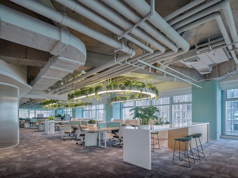 Thiết kế nội thất văn phòng phong cách ECO Thiết kế nội thất văn phòng phong cách ECO