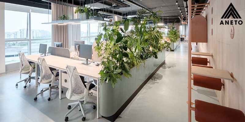 Thiết kế văn phòng diện tích 100m2 tối ưu không gian Thiết kế văn phòng diện tích 100m2 tối ưu không gian