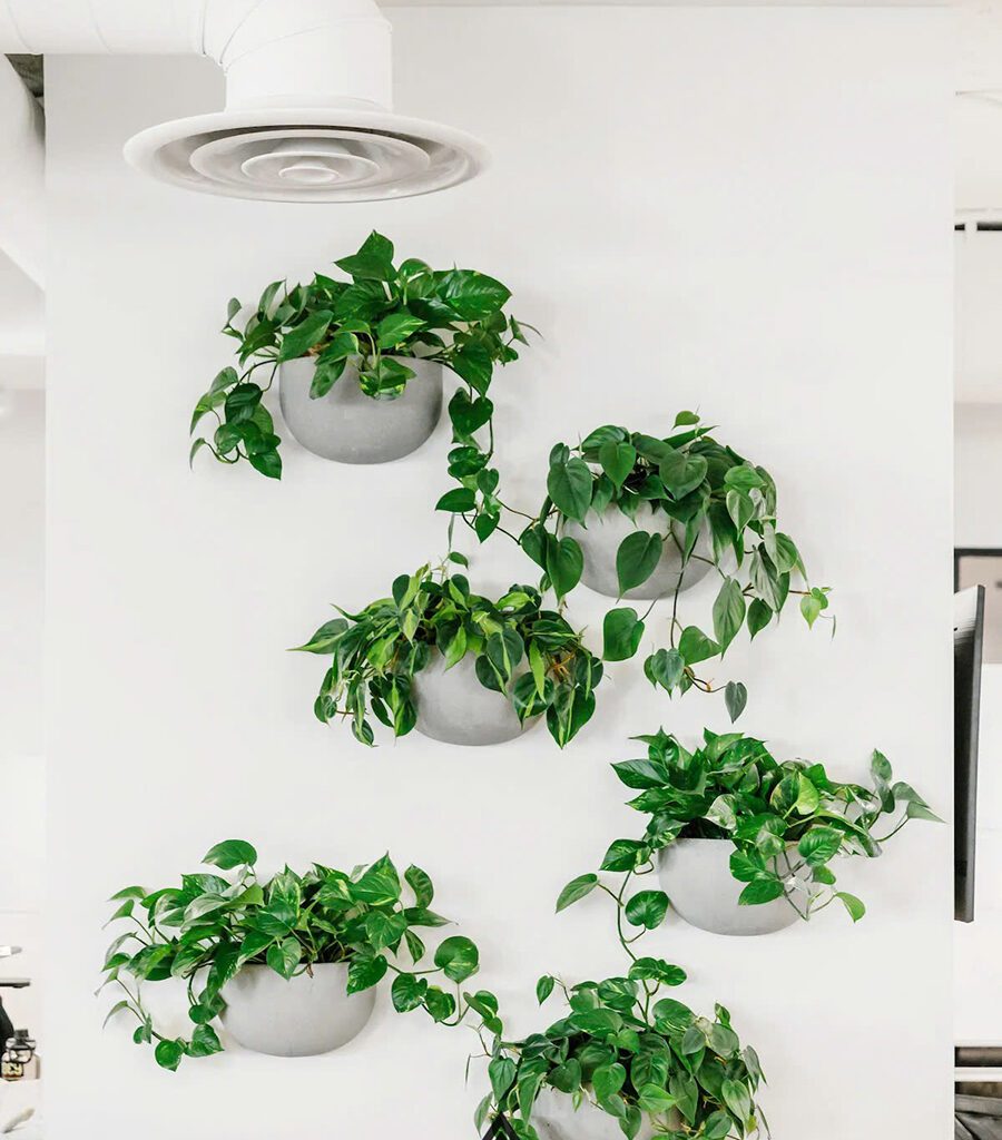 10 ý tưởng thiết kế văn phòng độc đáo giúp truyền cảm hứng làm việc