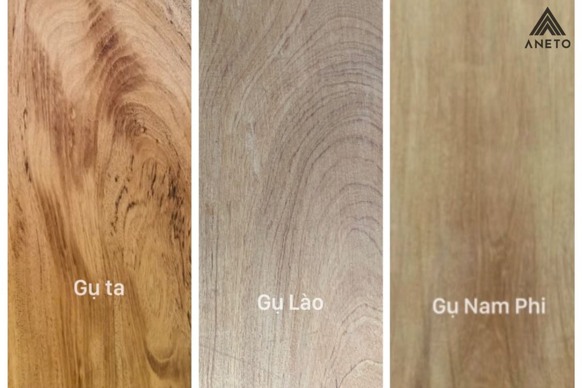 Gỗ thịt là gì? Cách phân biệt gỗ thịt với gỗ công nghiệp