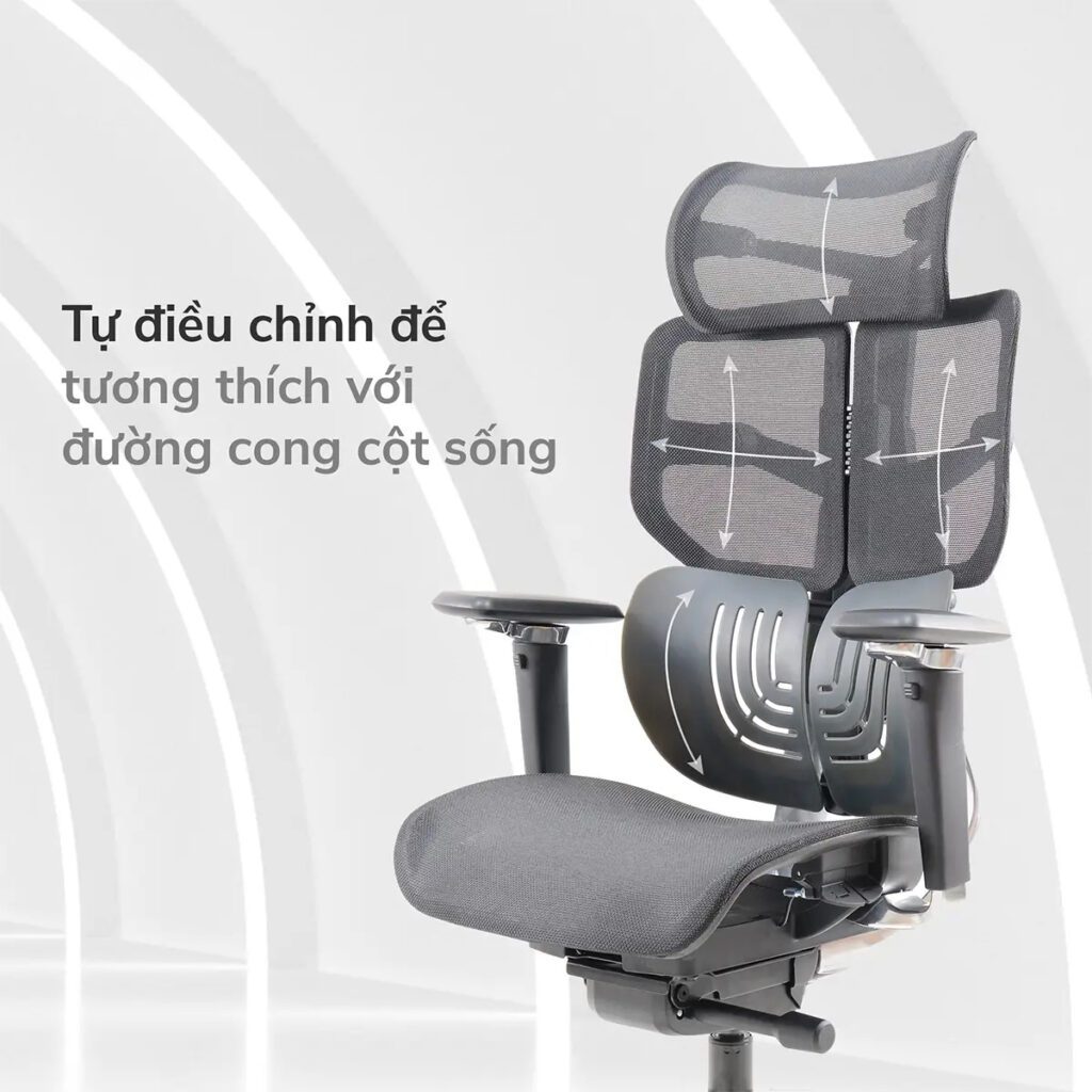 Ghế Công Thái Học Cho Cấp Quản Lý: Có Nên Đầu Tư? Ghế Công Thái Học Cho Cấp Quản Lý: Có Nên Đầu Tư?