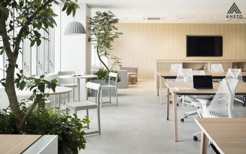 Văn phòng xanh – Khi không gian làm việc trở thành công cụ giữ chân nhân tài