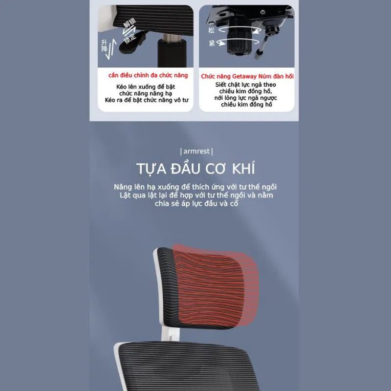 Ghế Công Thái Học Thực Sự Hiệu Quả Hay Chỉ Là Chiêu Trò Marketing?