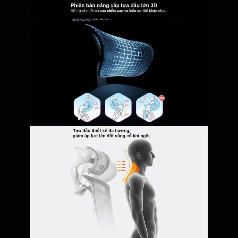 Ghế Công Thái Học Thực Sự Hiệu Quả Hay Chỉ Là Chiêu Trò Marketing?