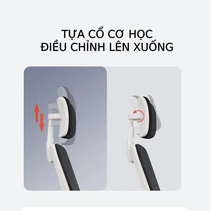 Ghế Công Thái Học Thực Sự Hiệu Quả Hay Chỉ Là Chiêu Trò Marketing?