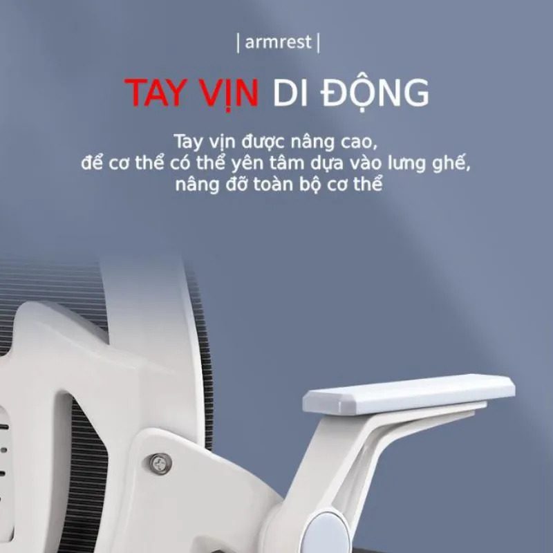 Ghế Công Thái Học Thực Sự Hiệu Quả Hay Chỉ Là Chiêu Trò Marketing?