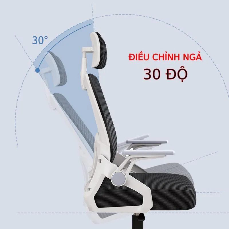 Ghế Công Thái Học Thực Sự Hiệu Quả Hay Chỉ Là Chiêu Trò Marketing?