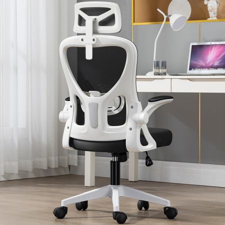 Chiếc Ghế Công Thái Học – Vũ Khí Bí Mật Giúp Dân Văn Phòng Làm Việc 10 Tiếng Mà Vẫn Không Mỏi Lưng