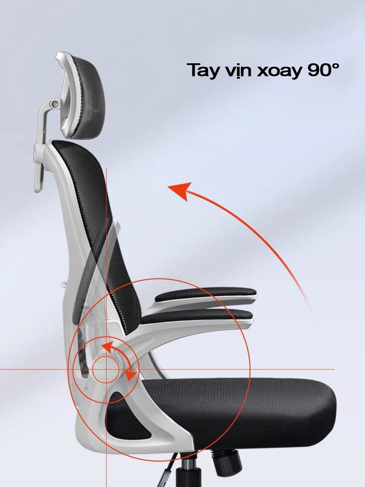 Chiếc Ghế Công Thái Học – Vũ Khí Bí Mật Giúp Dân Văn Phòng Làm Việc 10 Tiếng Mà Vẫn Không Mỏi Lưng