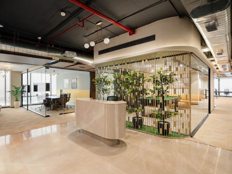 Không gian văn phòng trị liệu tinh thần giải pháp mới giúp nhân viên hạnh phúc và tăng năng suất Không gian văn phòng trị liệu tinh thần giải pháp mới giúp nhân viên hạnh phúc và tăng năng suất