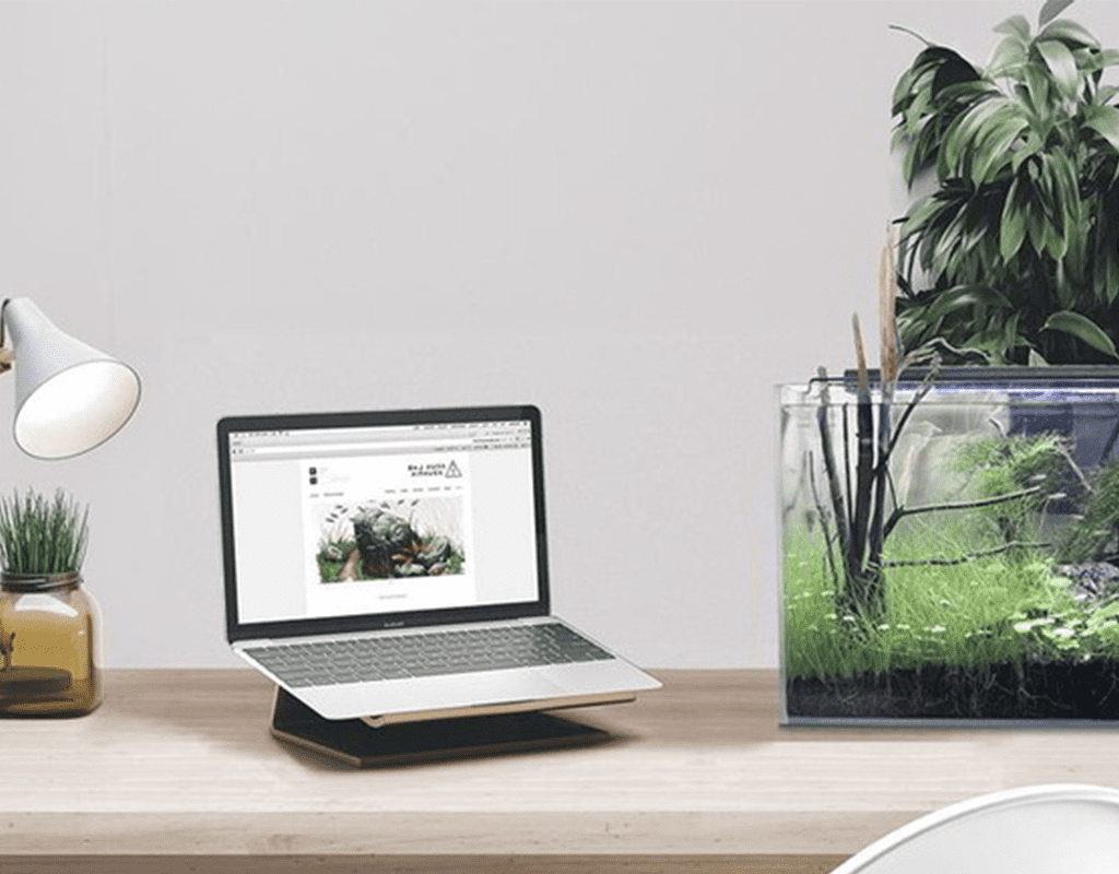 PHONG THỦY VĂN PHÒNG CHO NGƯỜI MỆNH MỘC – NỀN TẢNG NUÔI DƯỠNG SÁNG TẠO VÀ PHÁT TRIỂN BỀN VỮNG PHONG THỦY VĂN PHÒNG CHO NGƯỜI MỆNH MỘC – NỀN TẢNG NUÔI DƯỠNG SÁNG TẠO VÀ PHÁT TRIỂN BỀN VỮNG