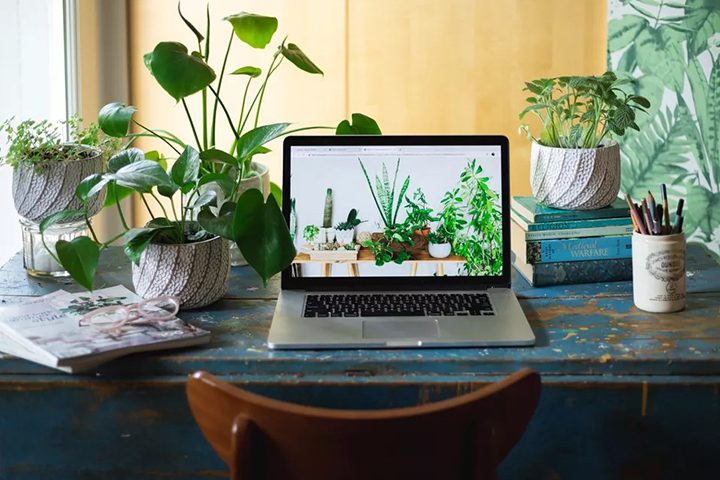 PHONG THỦY VĂN PHÒNG CHO NGƯỜI MỆNH MỘC – NỀN TẢNG NUÔI DƯỠNG SÁNG TẠO VÀ PHÁT TRIỂN BỀN VỮNG PHONG THỦY VĂN PHÒNG CHO NGƯỜI MỆNH MỘC – NỀN TẢNG NUÔI DƯỠNG SÁNG TẠO VÀ PHÁT TRIỂN BỀN VỮNG