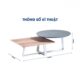 Bàn trà hiện đại Sài Gòn T-81 - GT29760