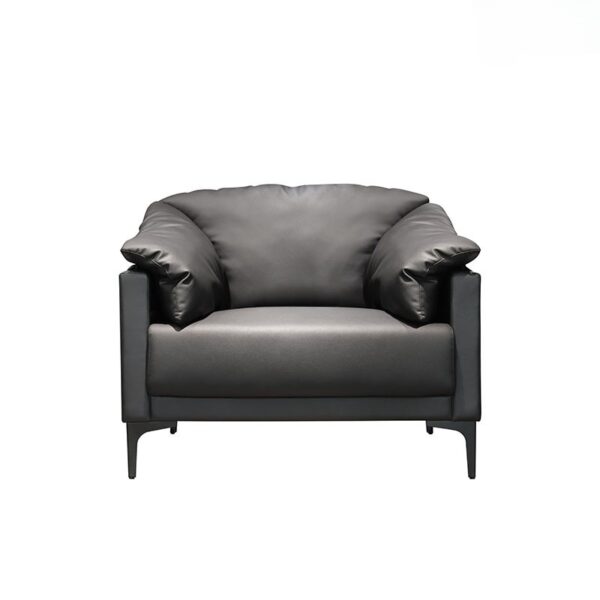 anh san pham sofa don da cao cap sf237 1 1