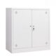 Tủ tài liệu sắt hai cánh nhỏ gọn - TD32264