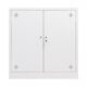 Tủ tài liệu sắt hai cánh nhỏ gọn - TD32264