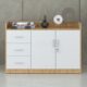 Tủ đựng tài liệu hạng sang Sài Gòn TW32747
