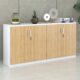 Tủ tài liệu hiện đại TW32740