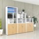 Tủ tài liệu cao cấp Nội thất Sài Gòn TW32753