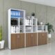 Tủ tài liệu cao cấp Nội thất Sài Gòn TW32753