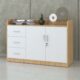 Tủ đựng tài liệu hạng sang Sài Gòn TW32747