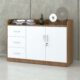 Tủ đựng tài liệu hạng sang Sài Gòn TW32747