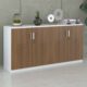 Tủ tài liệu hiện đại TW32740