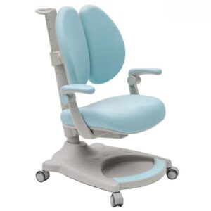 Ghế Chống Gù Cao Cấp EC36348