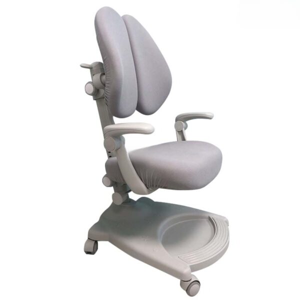 Ghế Chống Gù Cao Cấp EC36348