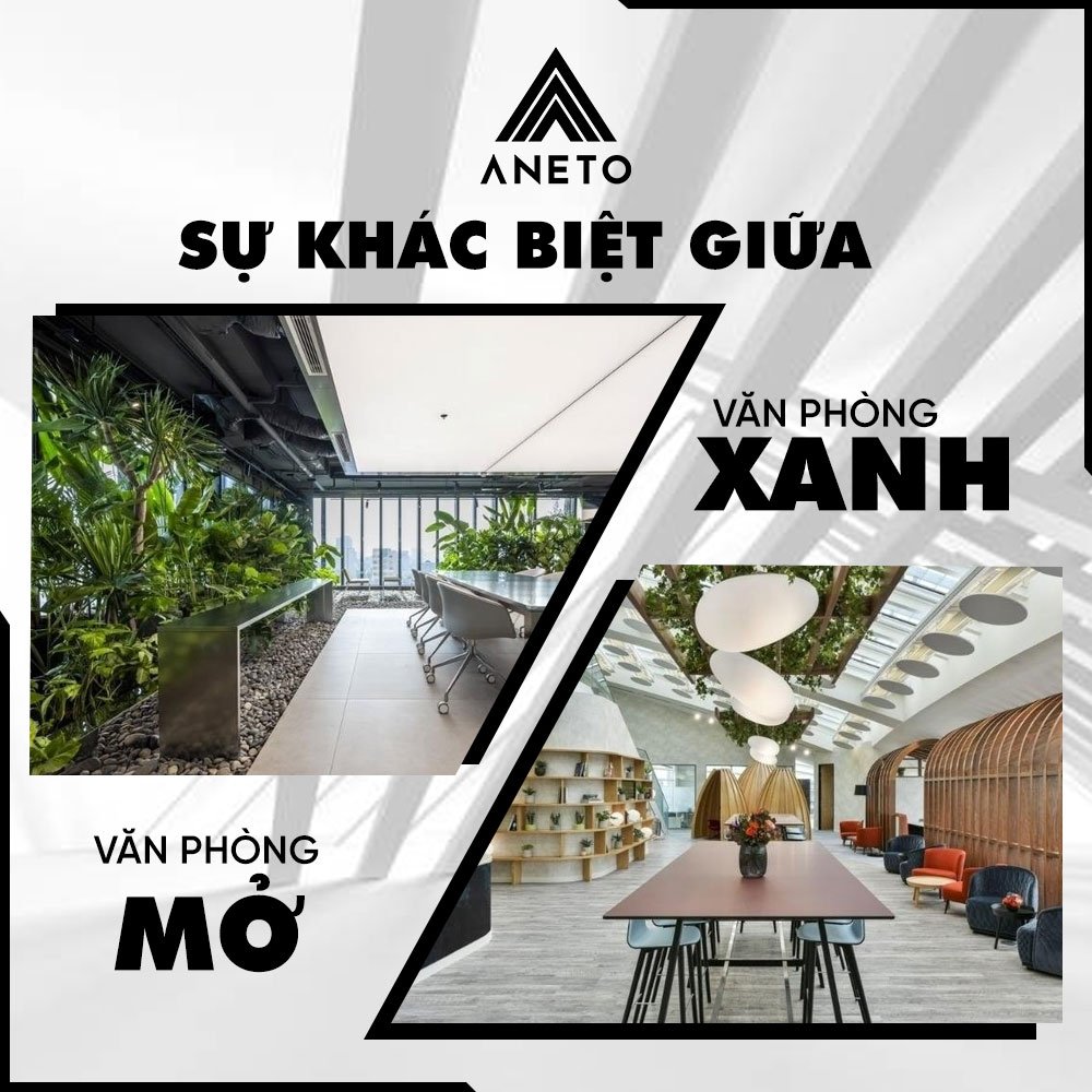 Su khac biet giua van phong xanh va van phong mo