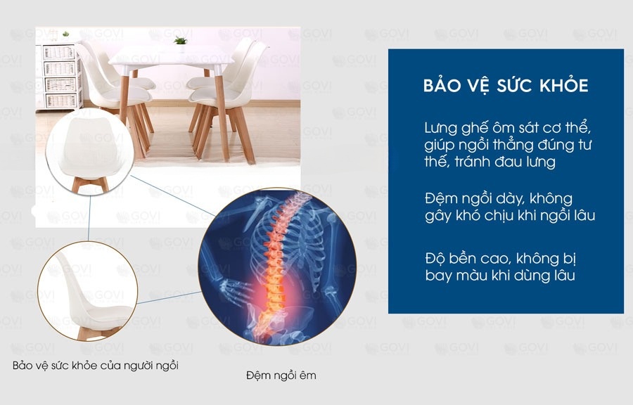 aneto.vn - Nội Thất Văn Phòng 