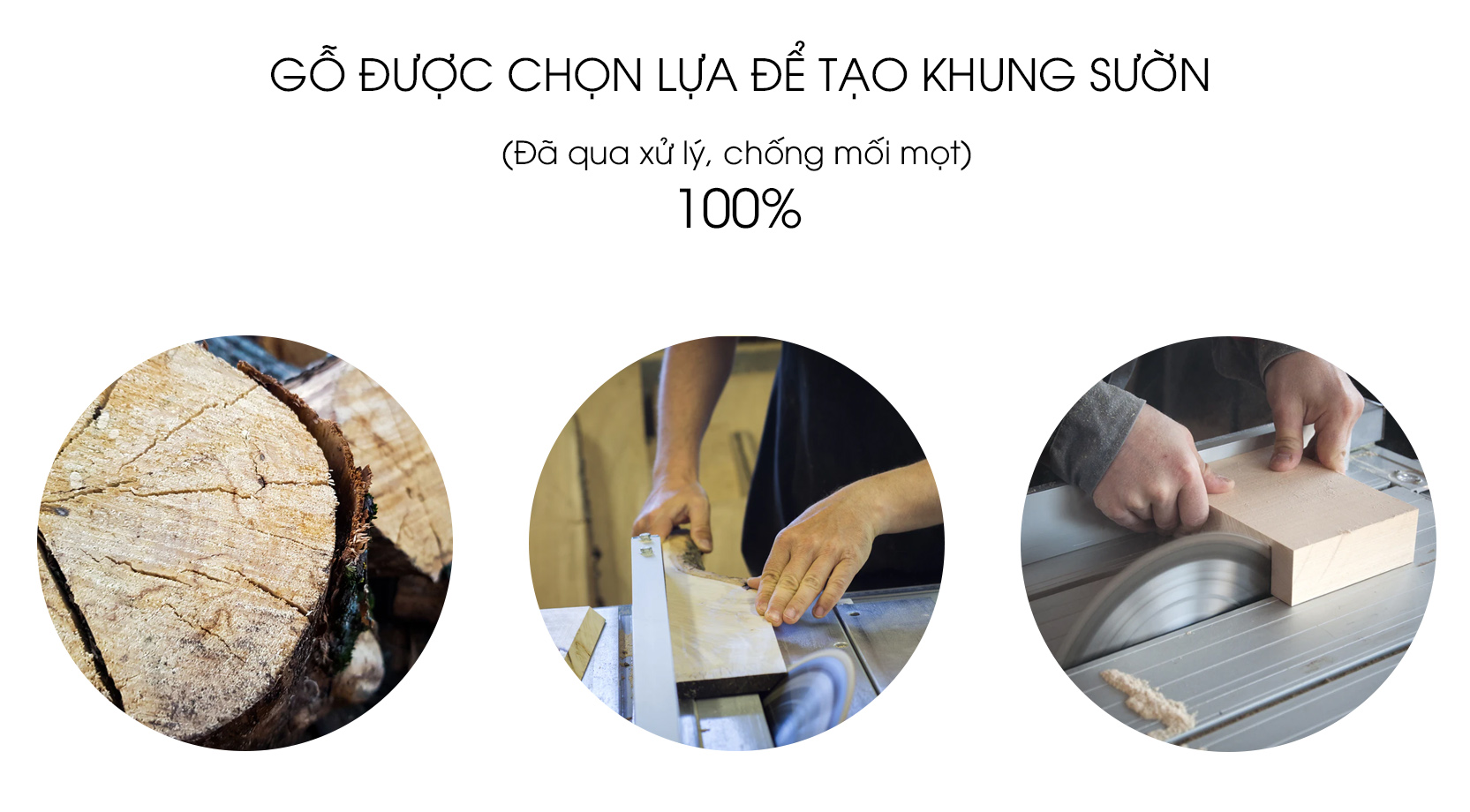 aneto.vn - Nội Thất Văn Phòng 