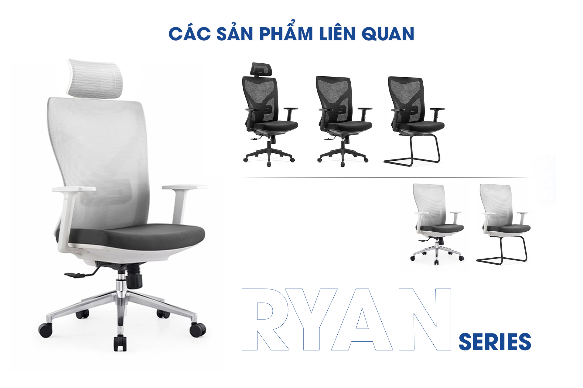 aneto.vn - Nội Thất Văn Phòng