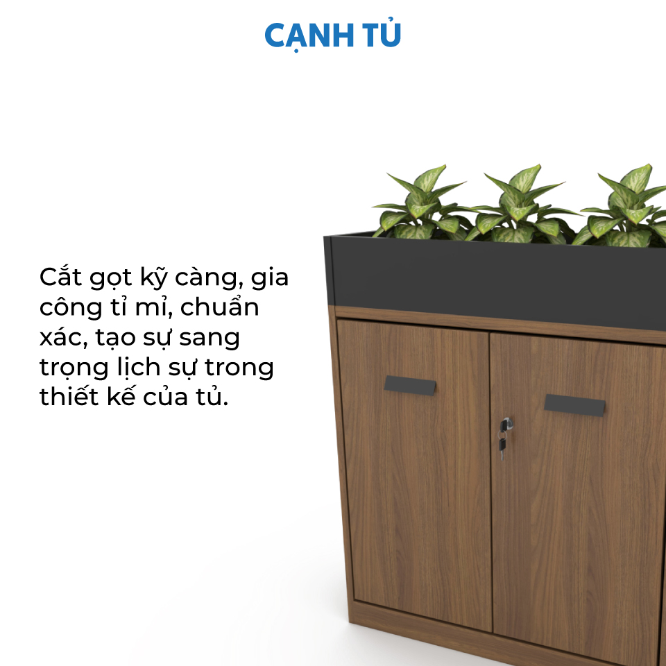 aneto.vn - Nội Thất Văn Phòng 
