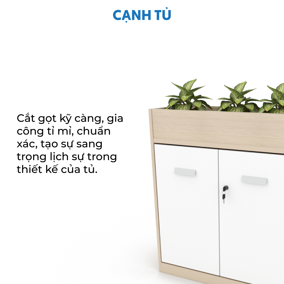 aneto.vn - Nội Thất Văn Phòng 