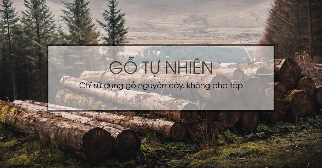 aneto.vn - Nội Thất Văn Phòng 