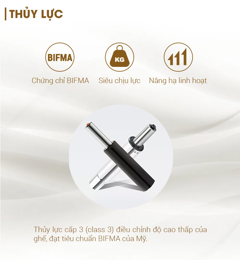 aneto.vn - Nội Thất Văn Phòng