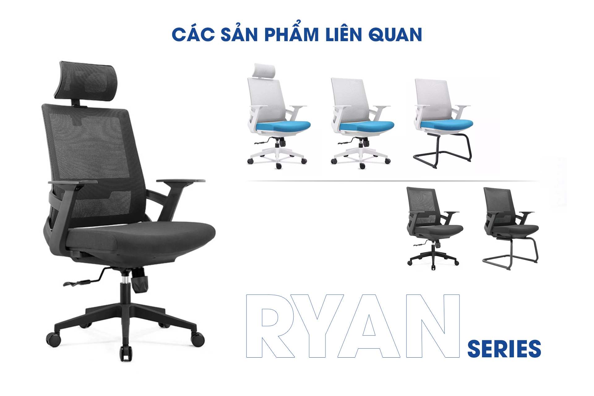 aneto.vn - Nội Thất Văn Phòng 