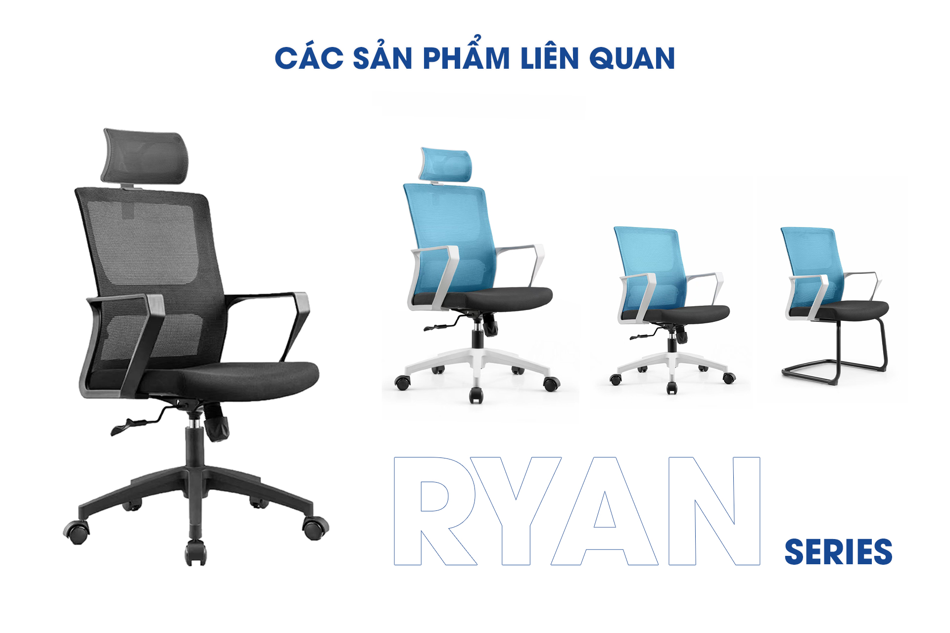 aneto.vn - Nội Thất Văn Phòng 