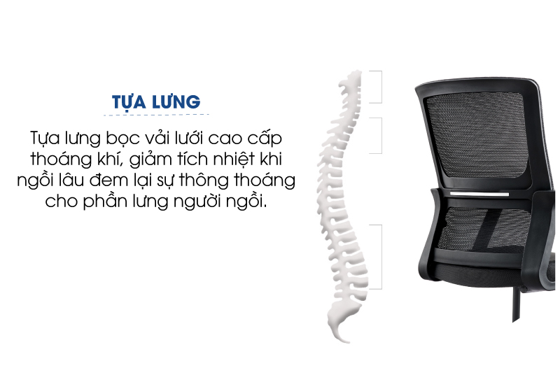 aneto.vn - Nội Thất Văn Phòng 