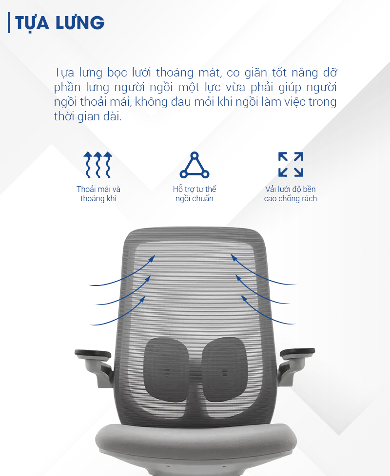 aneto.vn - Nội Thất Văn Phòng